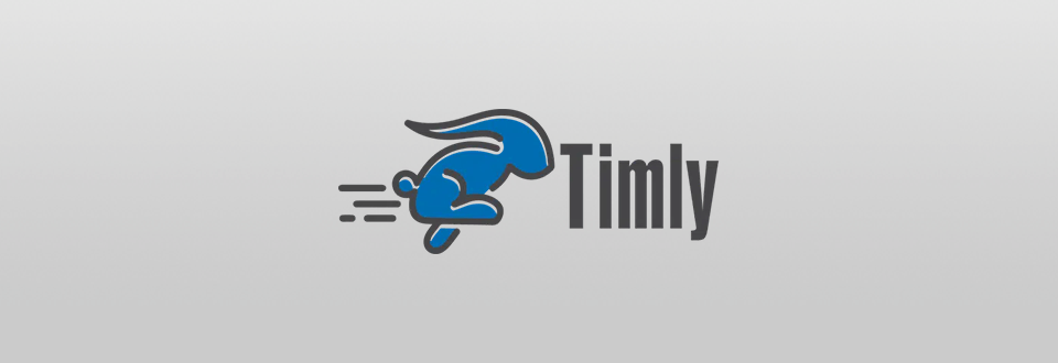 timly software logo