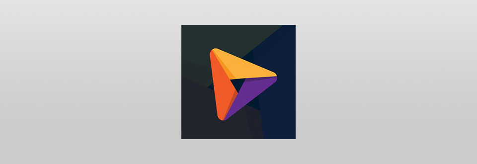 video animation inc logo
