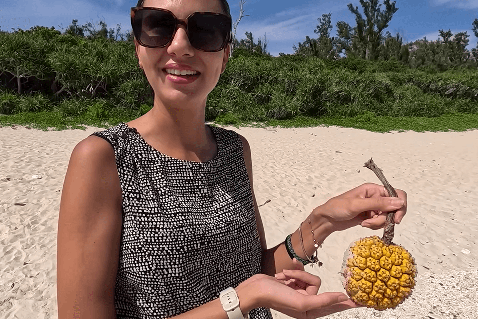 lomography suc100 film disposable camera