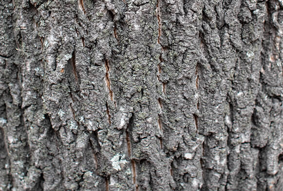 opakování svazku textur trávy