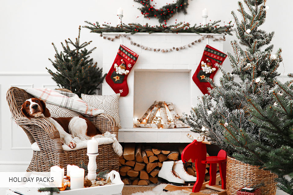 lou and marks presets holiday packs