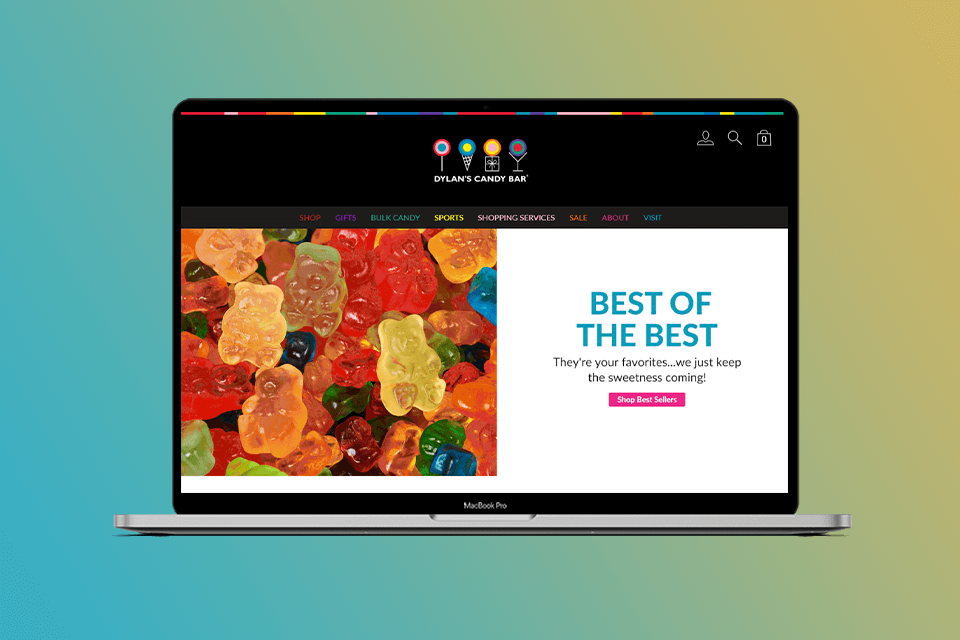 lounge lizard web development company work example