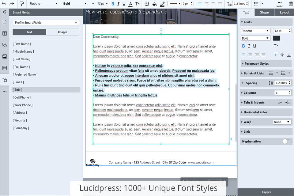 أنماط خطوط lucidpress 1000 الفريدة