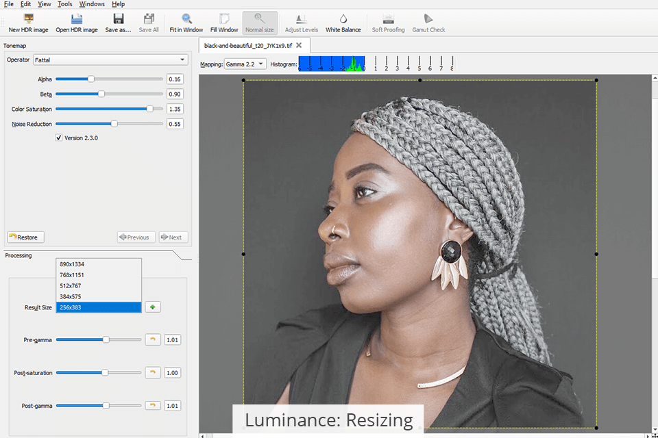 luminance resizing