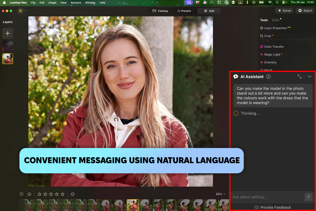 luminar ai assistant natural language