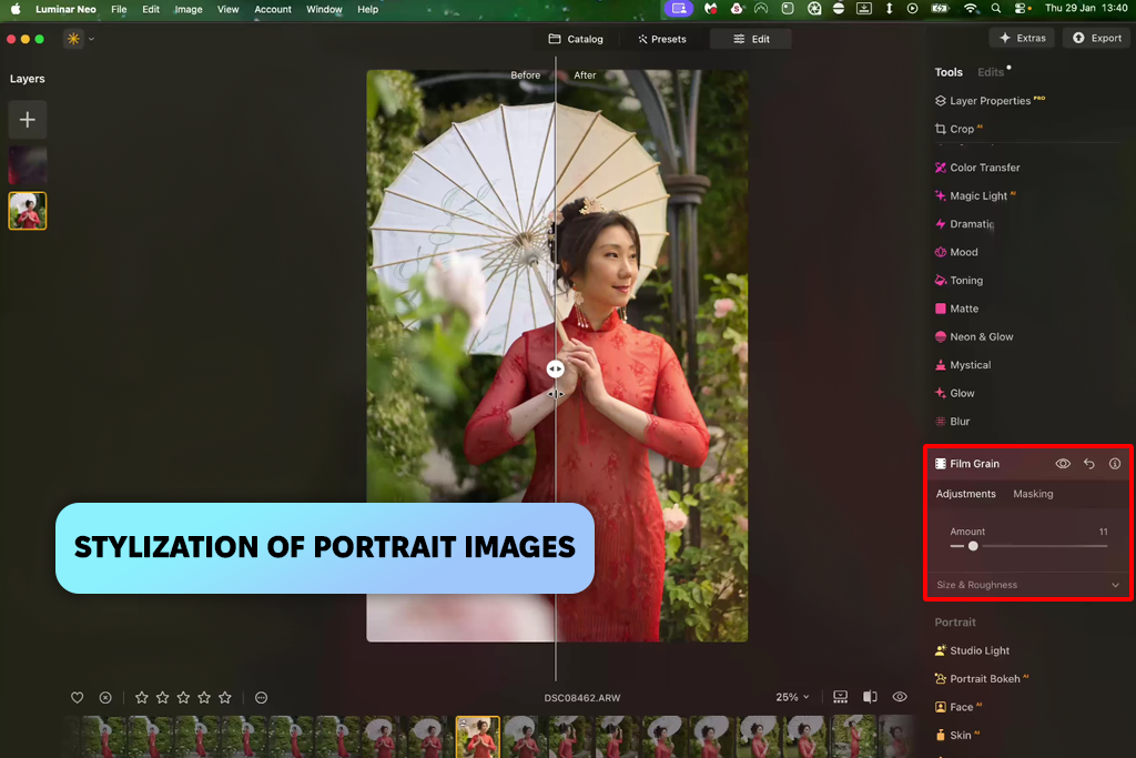 luminar ai assistant portrait stylization