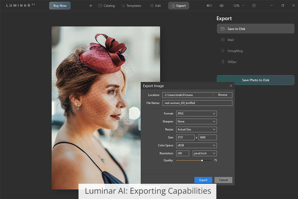 luminar تصدير ai
