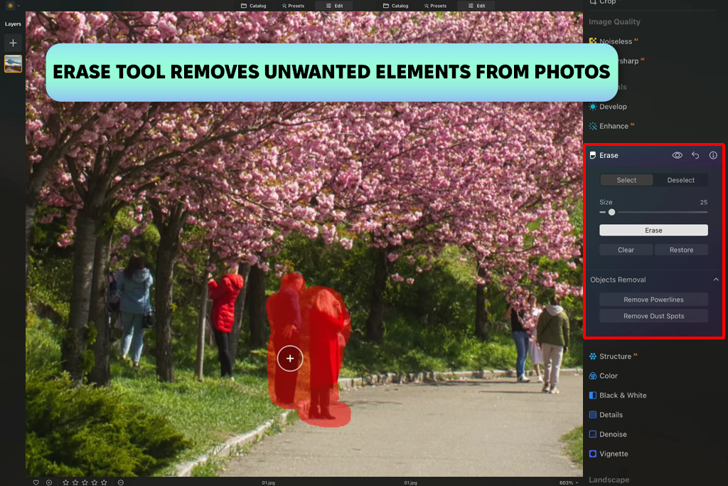 luminar erase tool