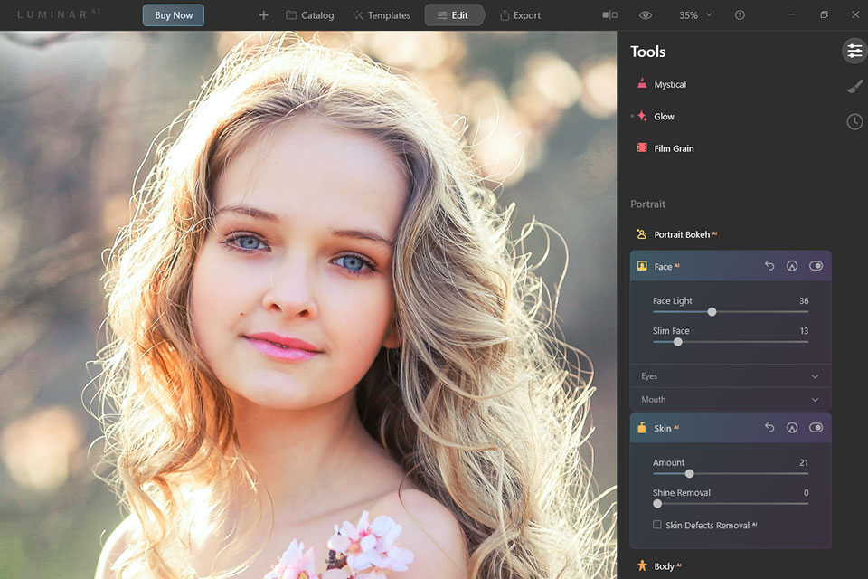 luminar inPixio بديل. واجهه المستخدم