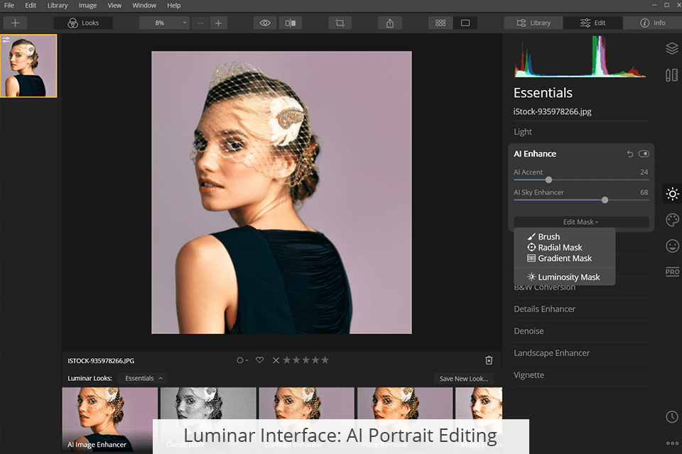 واجهة luminar ai صورة التحرير