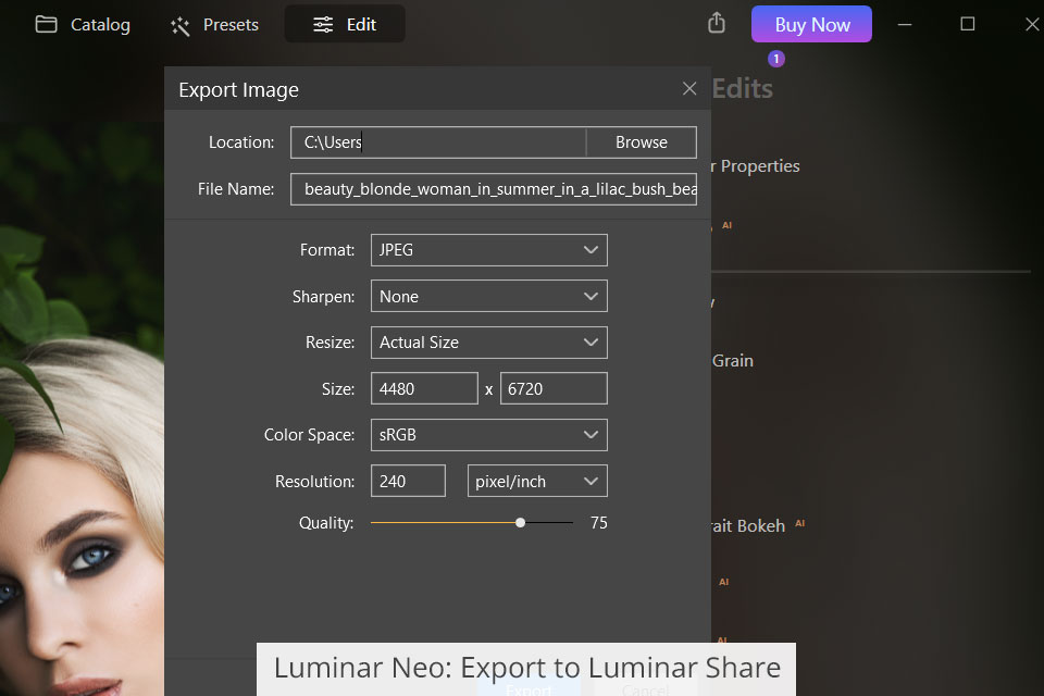 luminar neo export