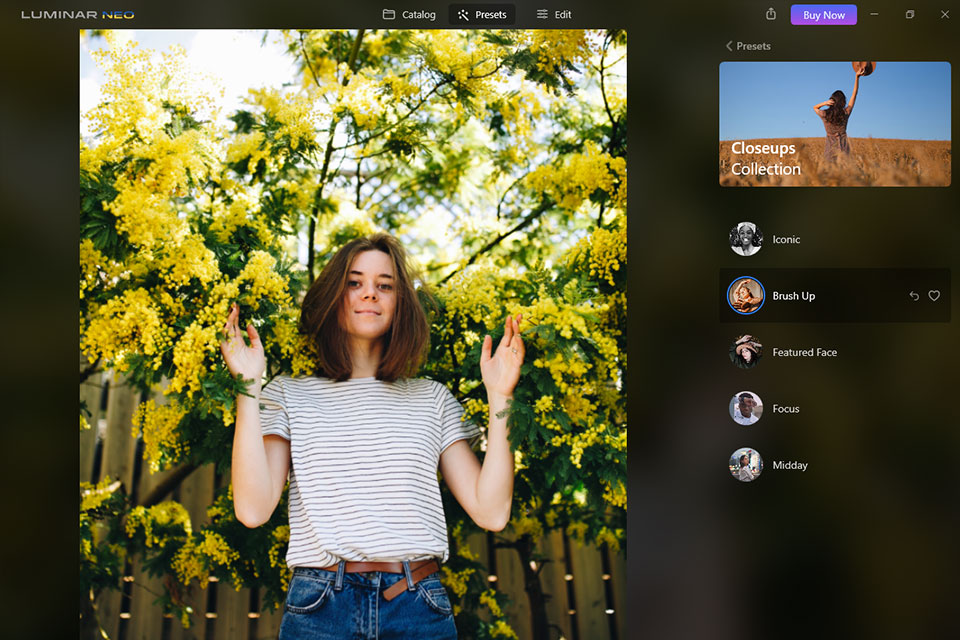 luminar neo feature work with presets