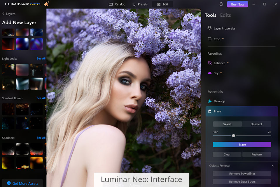 Luminar Neo vs Photoshop Elements: Which Software Is Better?