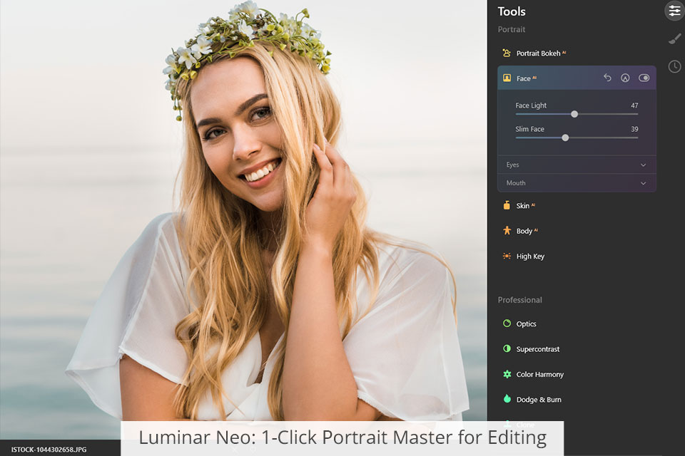 luminar neo one-click portrait master for editing