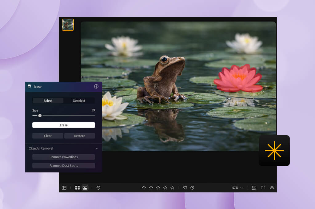 luminar object removal