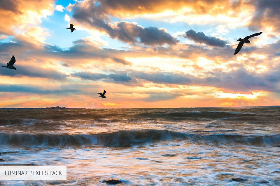 يبدو luminar pexels