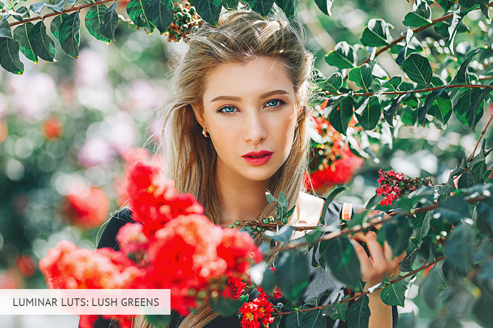 luminar lush greens presets