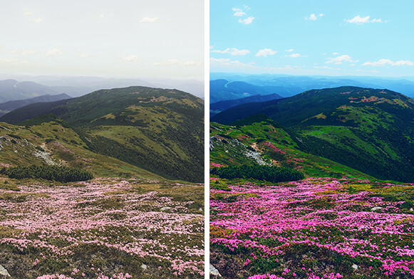 tải về luts photoshop