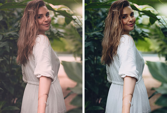 free portrait luts for photoshop download