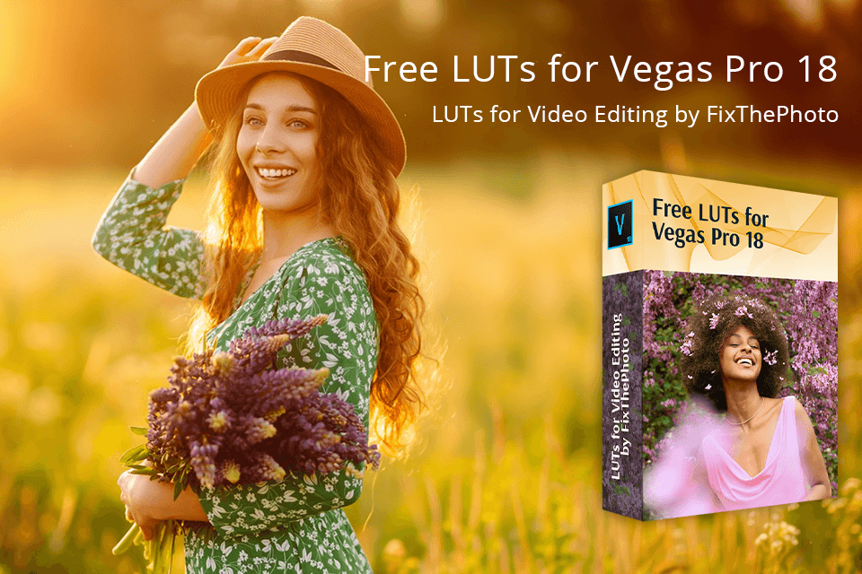 vegas pro 15 luts download