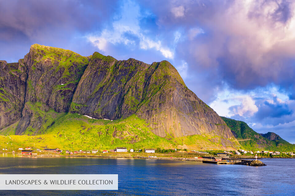 luxe lightroom presets landscapes and wildlife