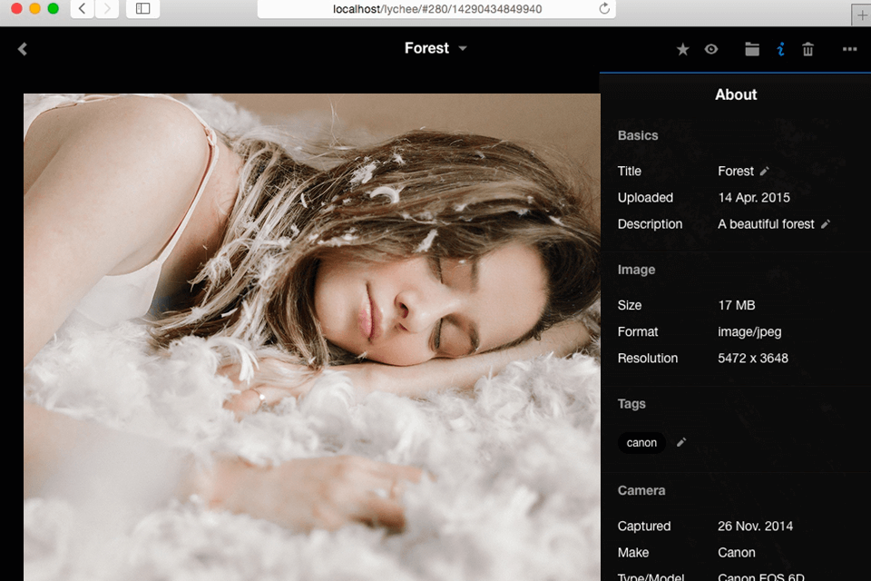 واجهة ليتشي