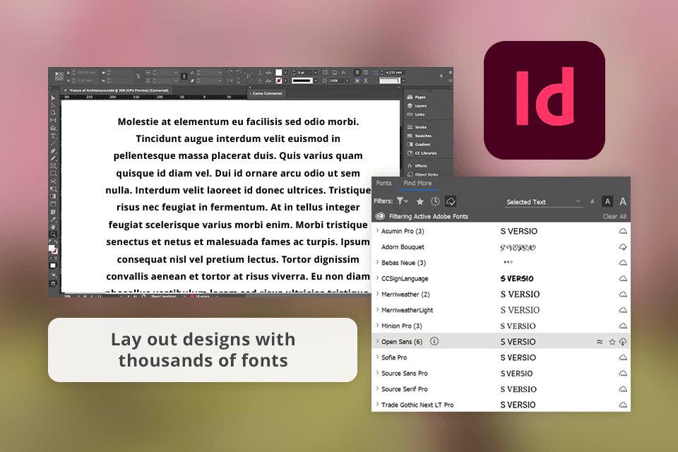 adobe indesign interface