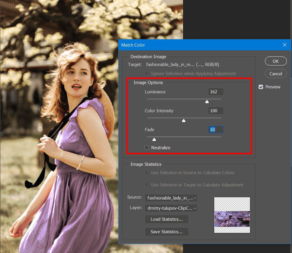 make adjustments to match a color in photoshop