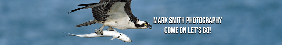 mark smith youtube photography channel cover