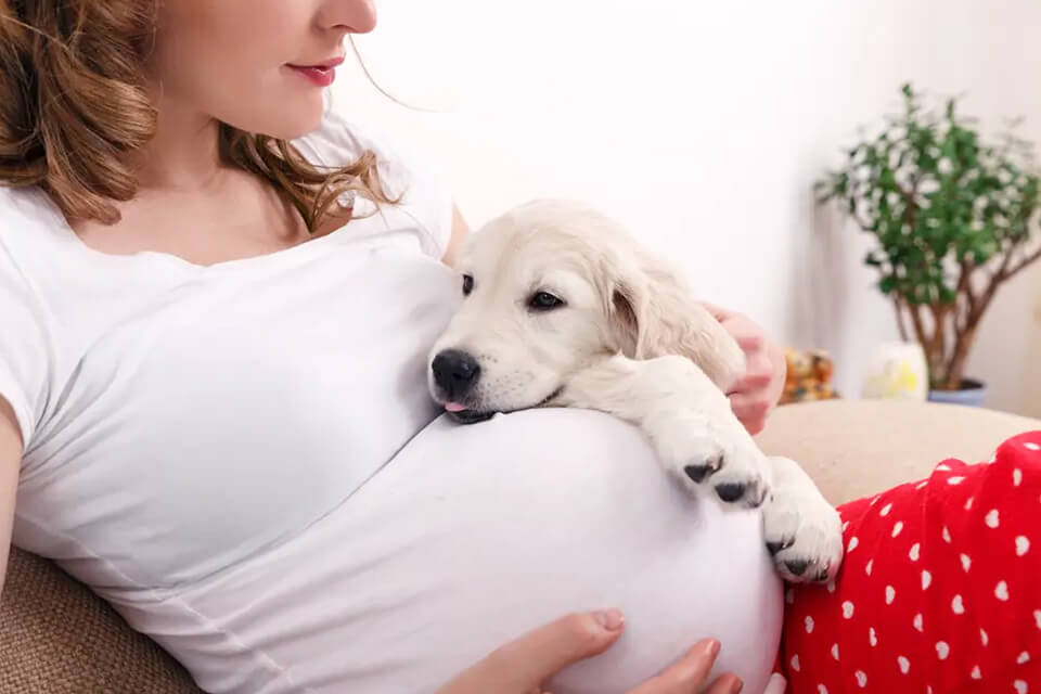 maternity photoshoot poses lying on sofa