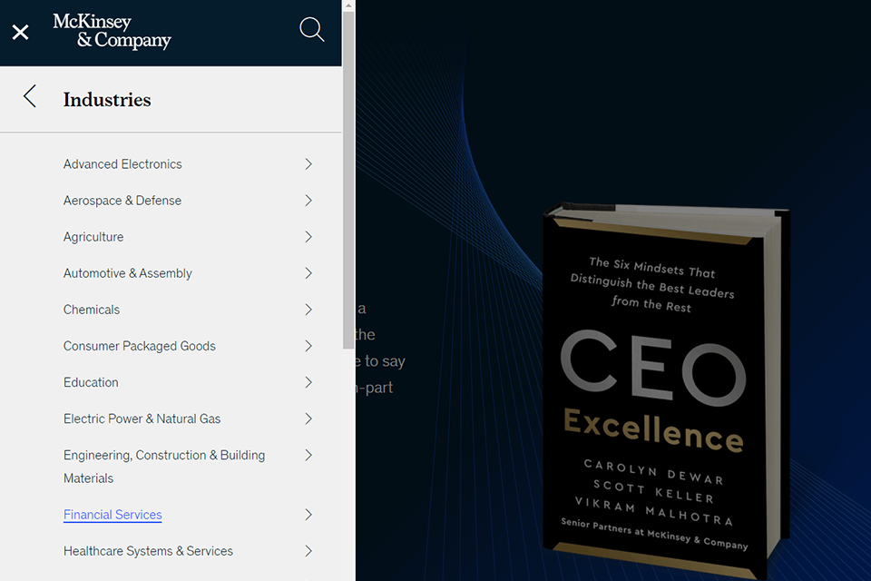 mc kinsley and company consulting website