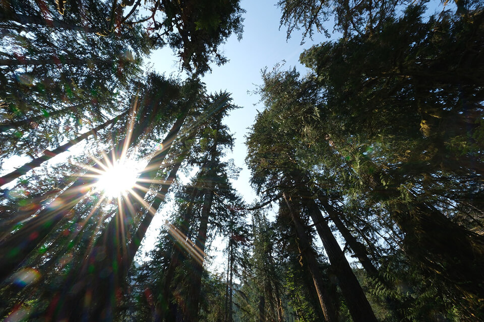 medium format camera fujifilm ga645zi image