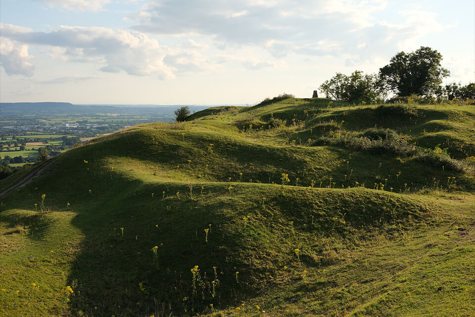 medium format camera fujifilm gfx50s ii image