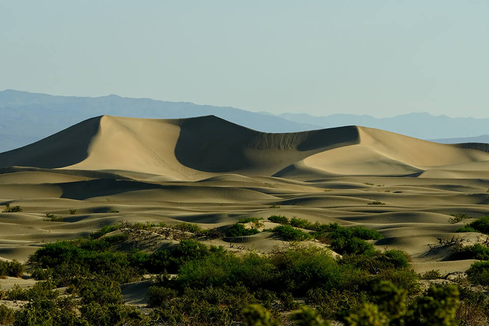 medium format camera mamiya 645 image