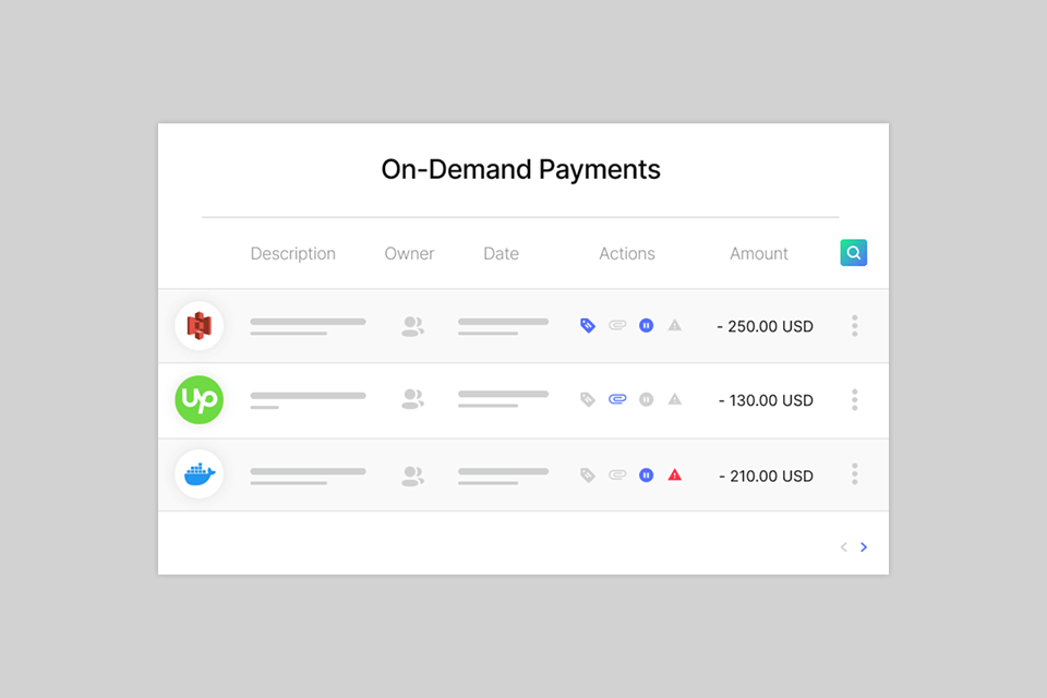 mesh payments spend management software interface