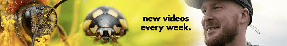 micael widell youtube photography channel cover