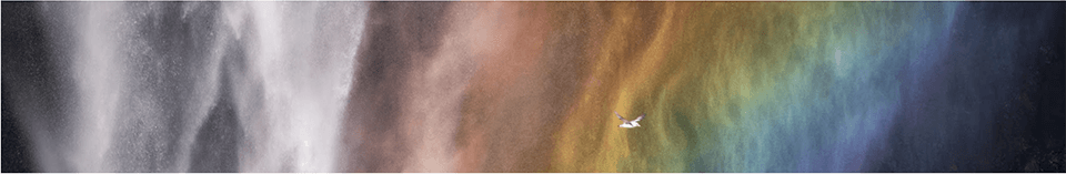 michael shainblum youtube photography channel cover