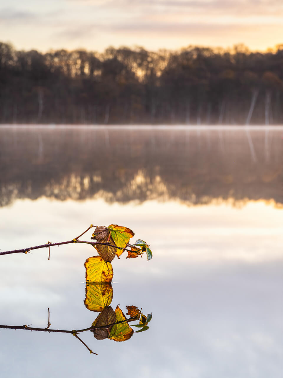 mikael svensson landskapsbilder exempel