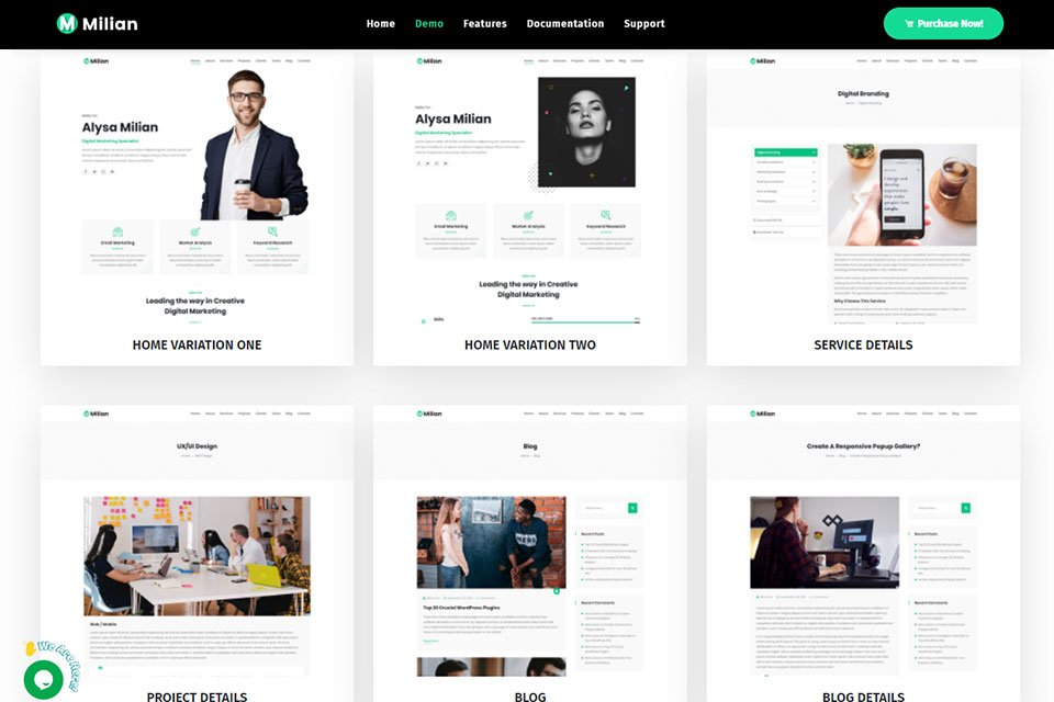 millian wordpress theme for graphic designers
