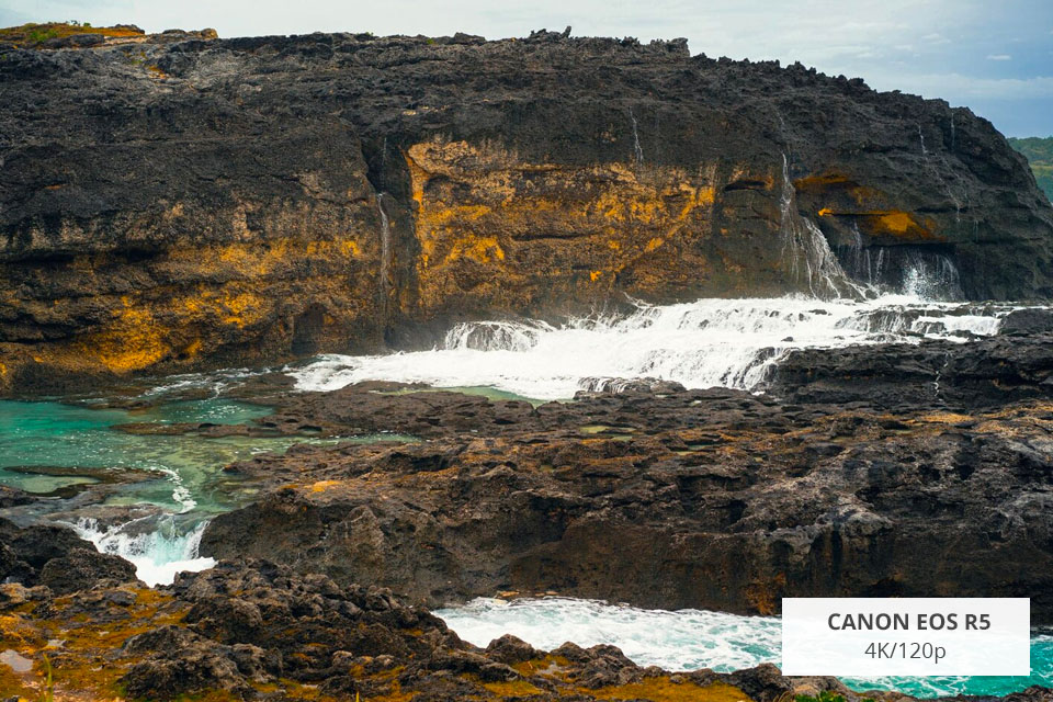 mirrorless video camera canon eos r5