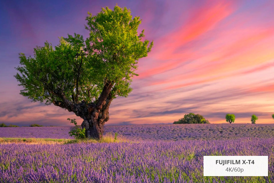mirrorless video camera fujifilm x-t4