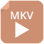 mkv converter