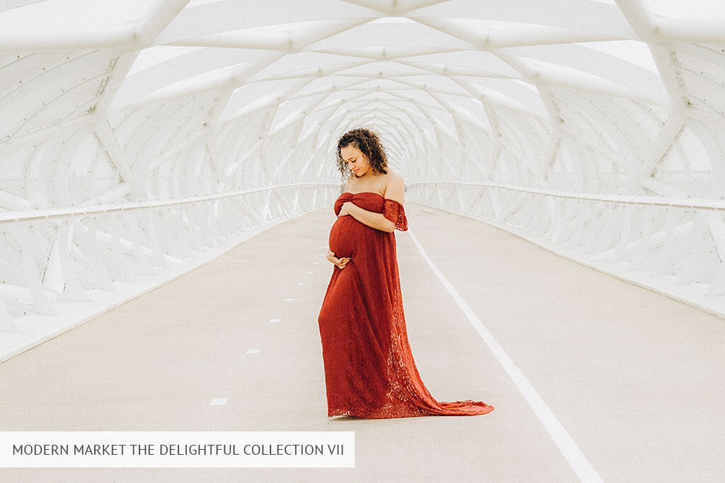 modern market the delightful collection