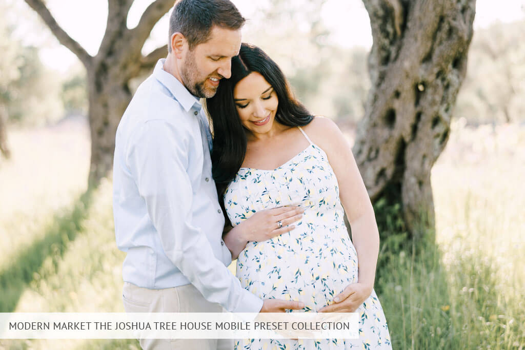 modern market the joshua tree house mobile preset collection