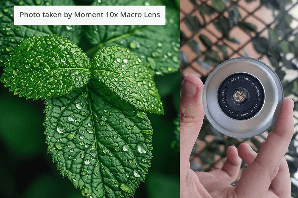 moment 10x macro mobile phone camera lens