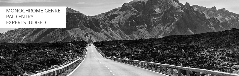 monochrome photo competition for beginners