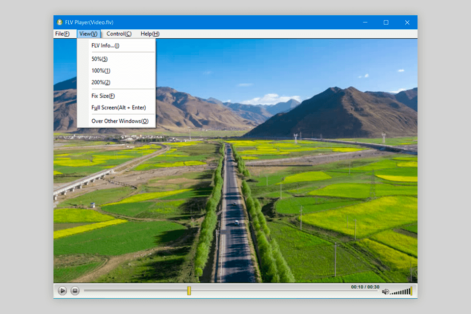 moyea flv player interface