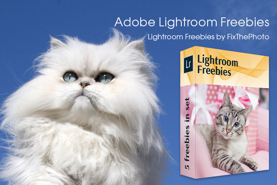 must have lightroom presets