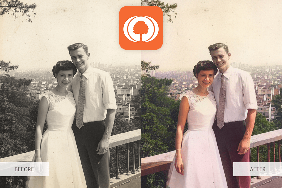 my heritage incolor photo colorizer