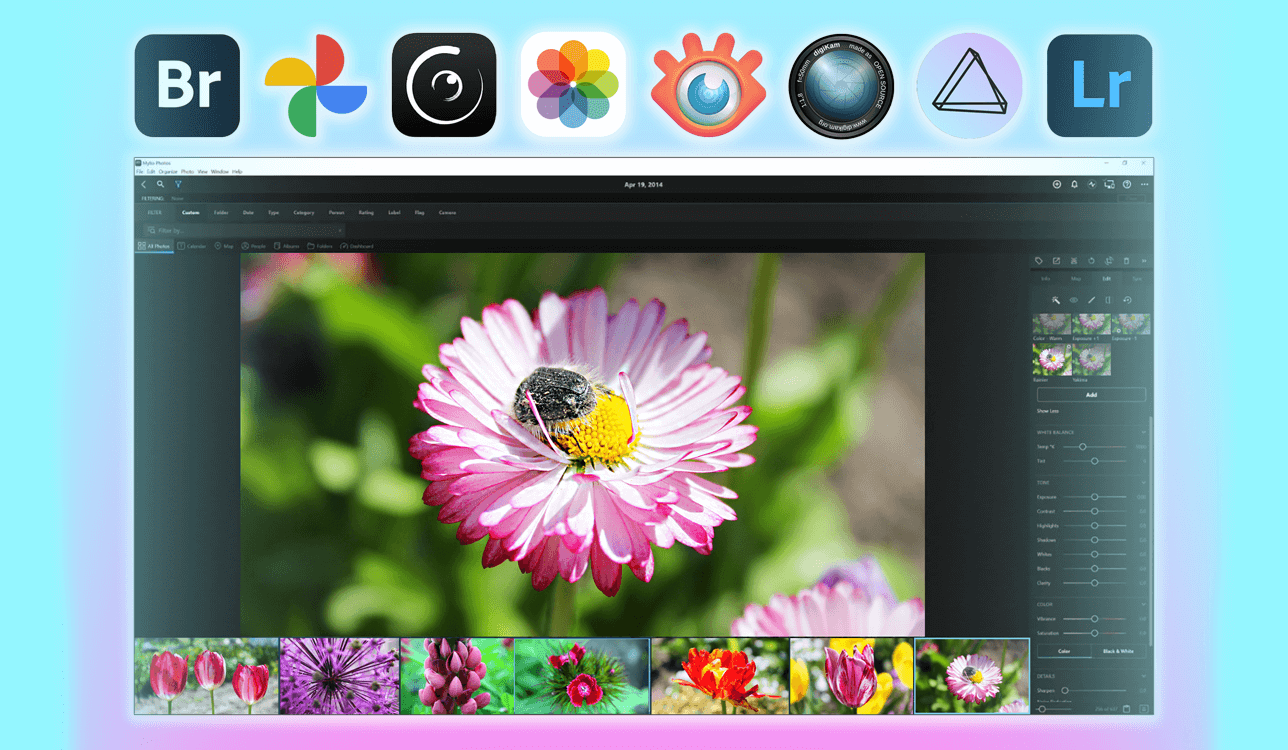 mylio photos alternatives